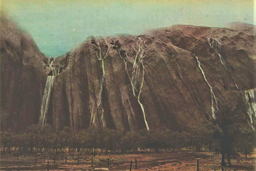Multiple long waterfalls cascade down the brown walls of Uluru.