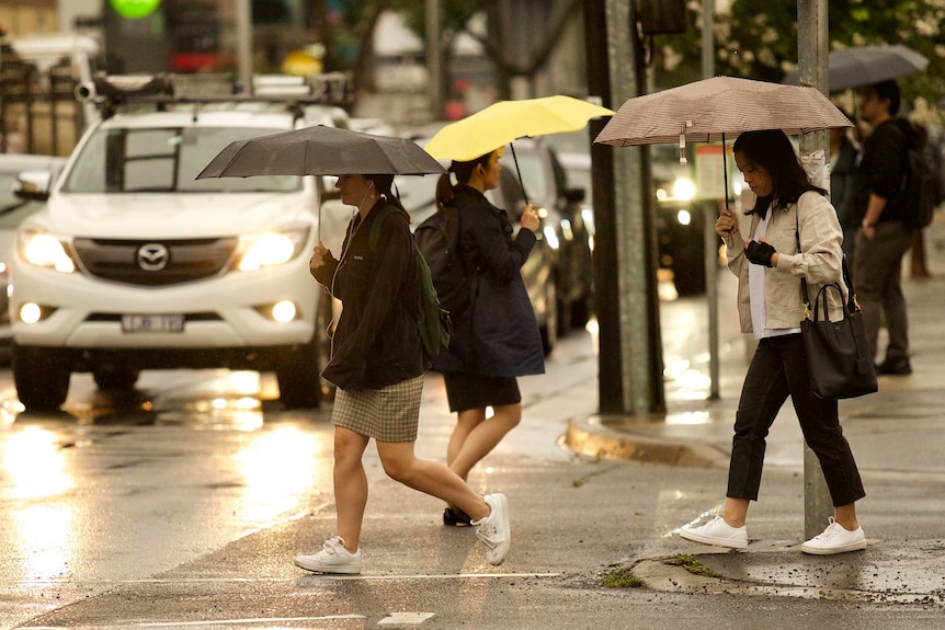 Three women holding umbrellas cross a road with traffic in the background.