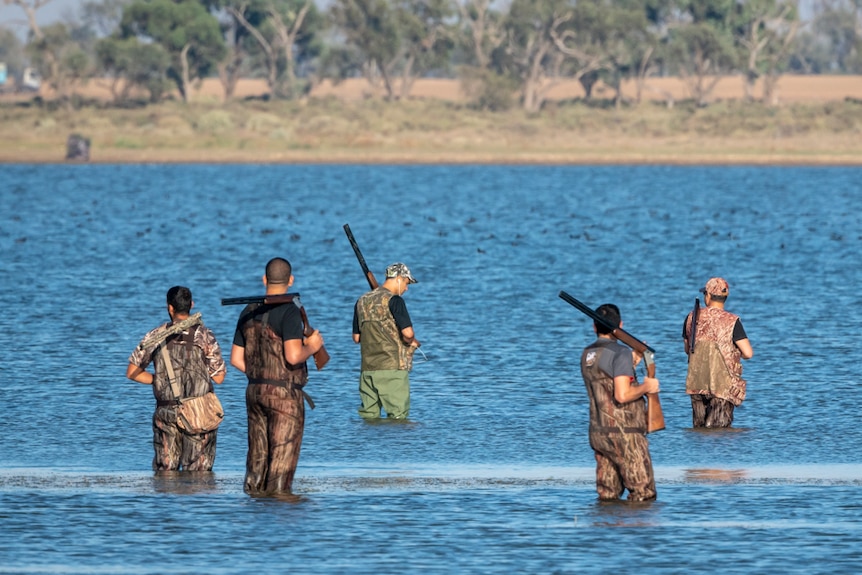 Five men, three holding guns, stand in water in camouflage clothing. Trees are in the background.