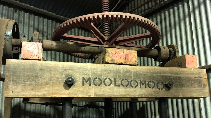 An old, wooden dump press sits in an old shearing shed