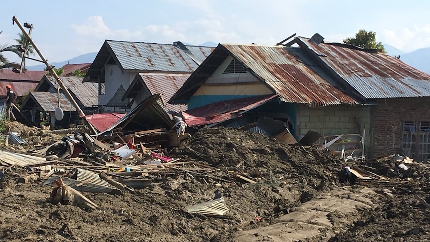 Mud lies up to the roofs of houses in Petobo