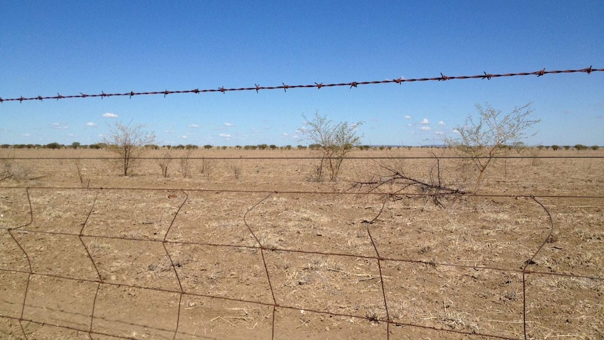 Parched landscape between Longreach and Winton in central western Queensland.