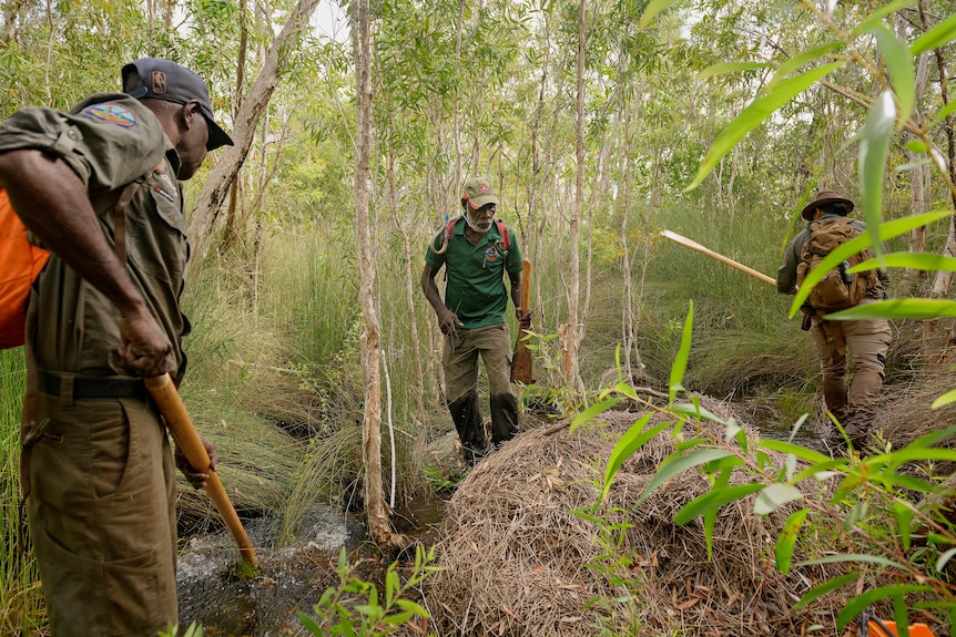 Three rangers arrive at a crocodile nest near Maningrida.