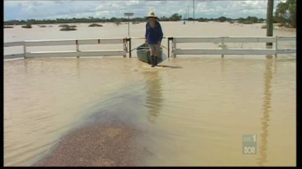 Floods bring relief for Qld graziers - ABC News