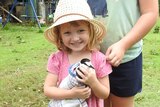 Little girl holding an injured bird