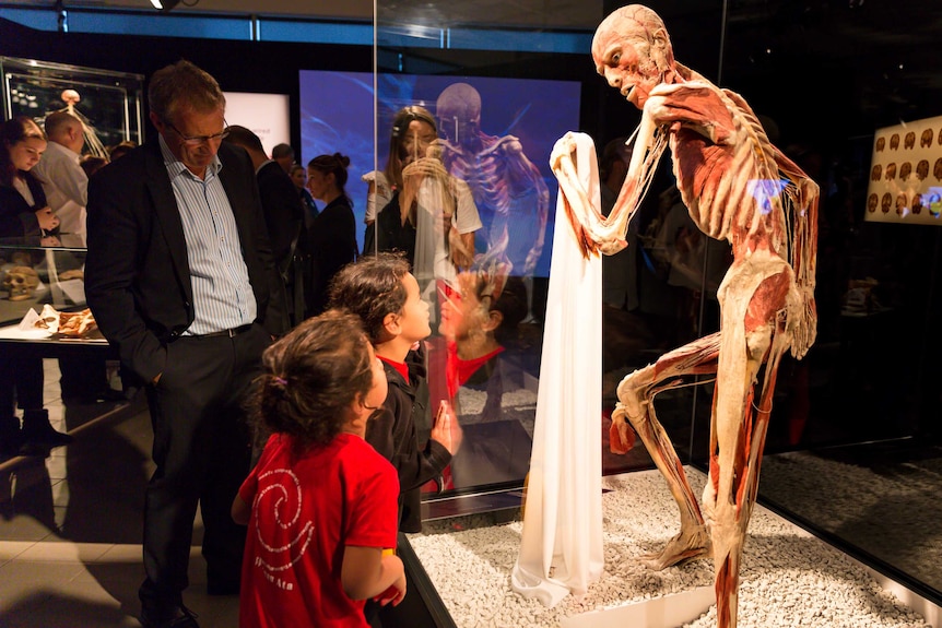 Body Worlds Vital exhibition