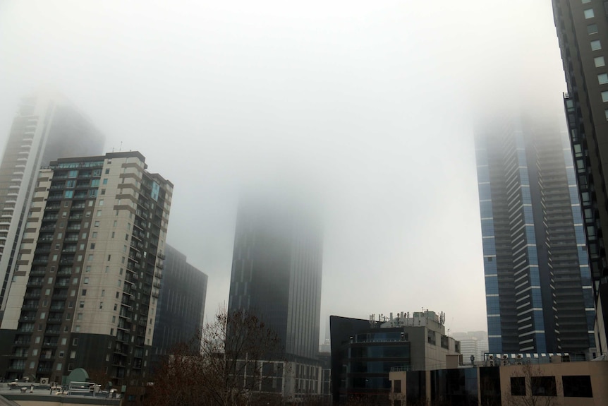 Melbourne high rise buildings disappear into fog