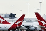 Grounded: Qantas jets at Sydney Airport.
