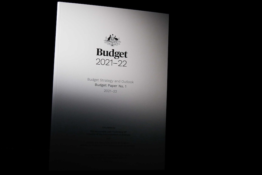 A monotone budget document is visible on a dark background.