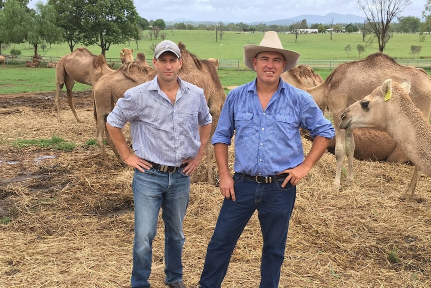 Wild Camel Corporation chief executive Jeff Flood (left) with chief operating officer Paul Martin (Right).