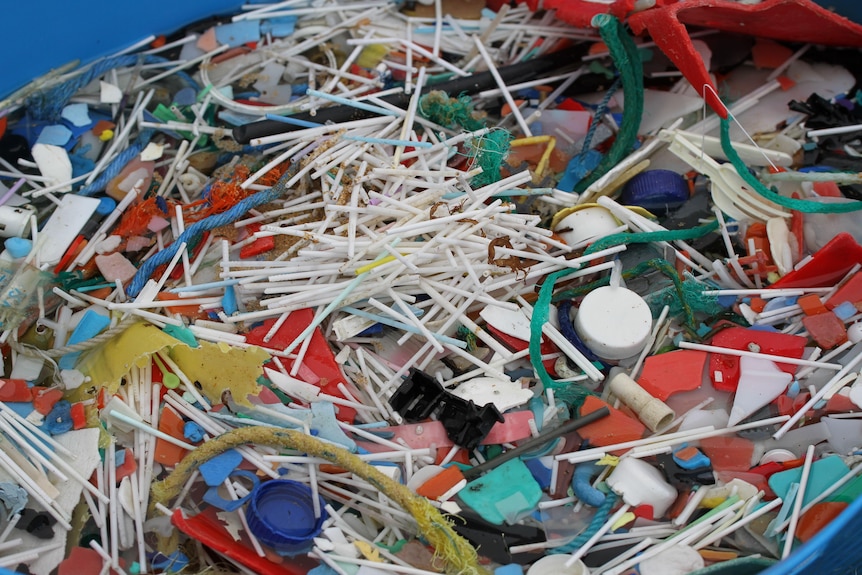 A huge collection of different pieces of plastic including bottle caps and rope.