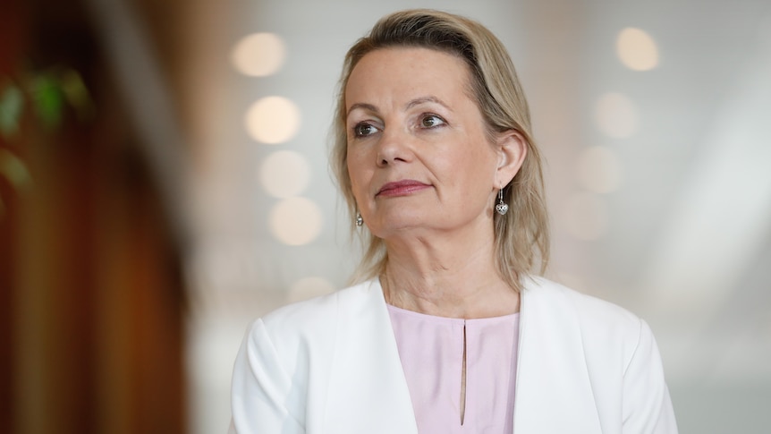 Sussan Ley wears a white jacket and looks off camera.
