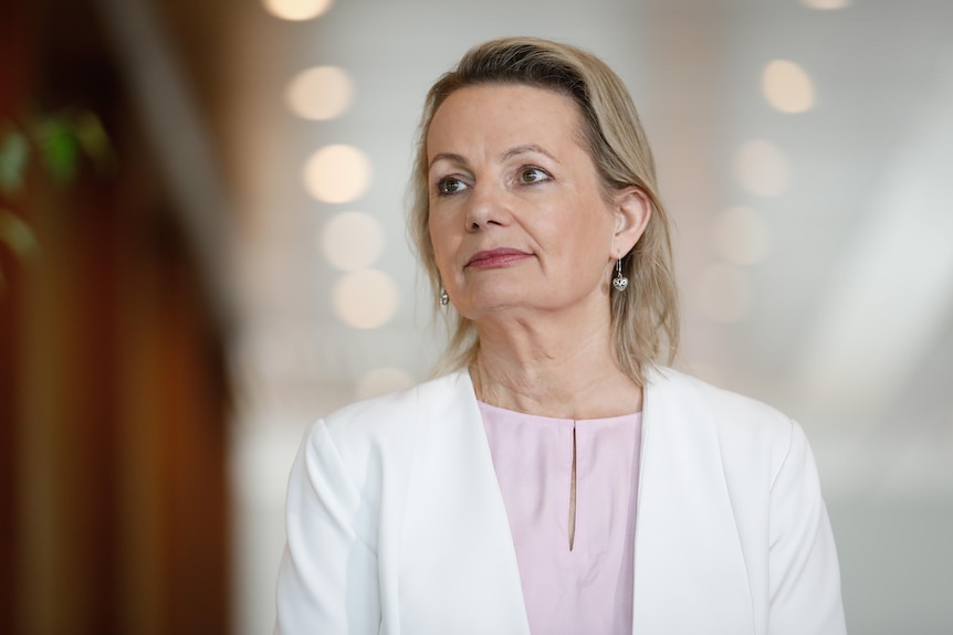 Sussan Ley wears a white jacket and looks off camera.