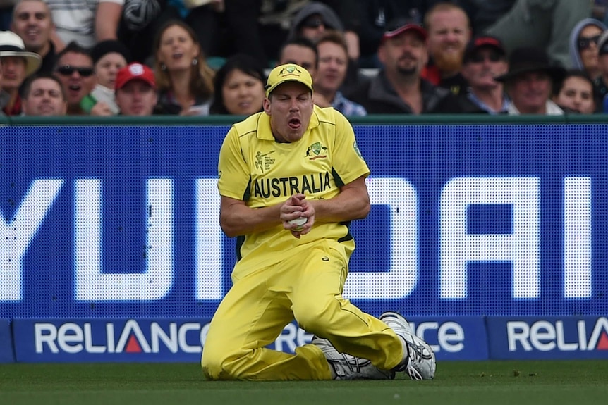 Australian cricketer James Faulkner takes a catch