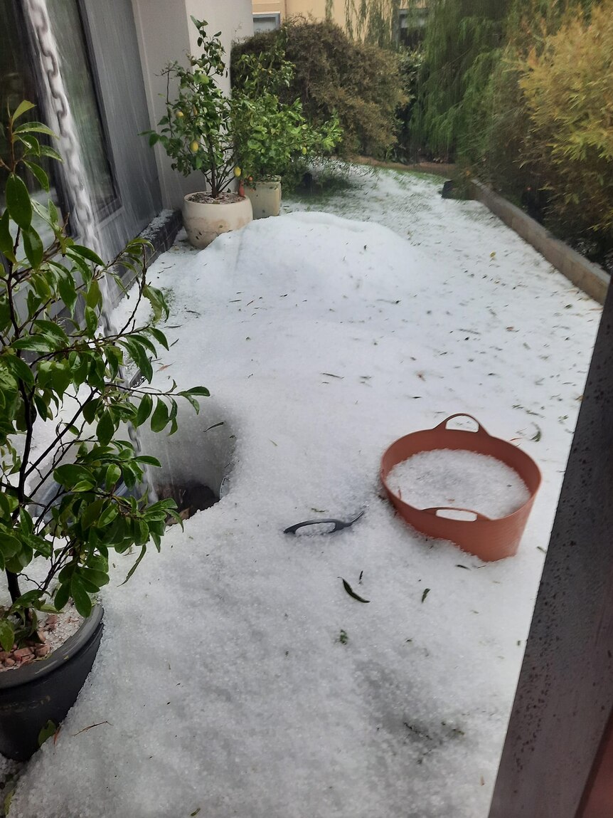Hail makes a pile looking like snow