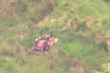 A red tractor in a grassy field