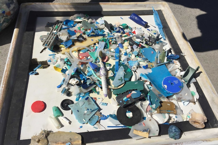 A range of the plastics collected from remote Tasmanian beaches