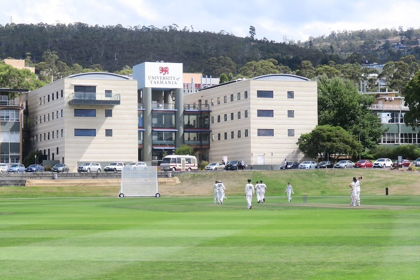 A cricket game in progress at the University of Tasmania