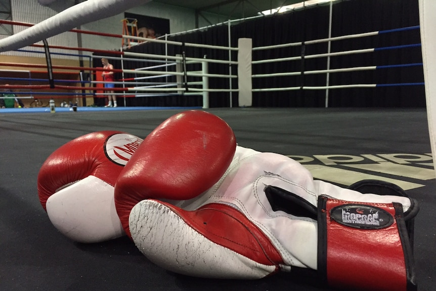 Red and white boxing gloves sitting on the ground at the side of a boxing ring.