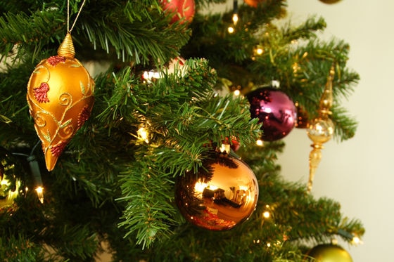 Christmas tree and presents (Fleur Suijten: stock.xchng)