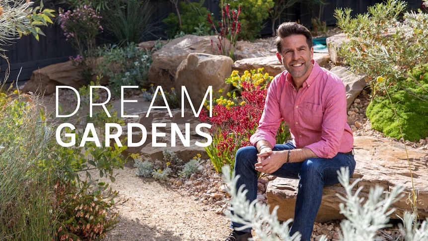 Man in a pink shirt and denim jeans sitting on a boulder in the middle of a garden