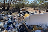 Several couches and piles of rubbish sit under trees in amongst bushland.