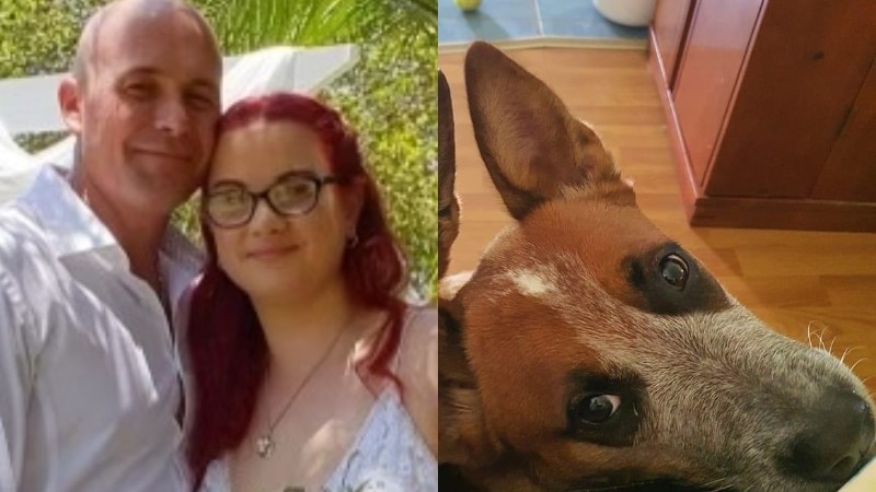 composite image of a man and woman at their wedding, and a dog 