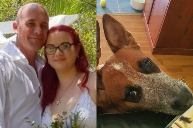 composite image of a man and woman at their wedding, and a dog 