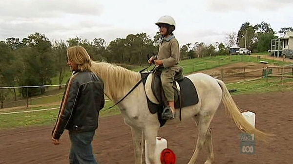 There have been five outbreaks of strangles disease in the ACT and neighbouring parts of NSW.