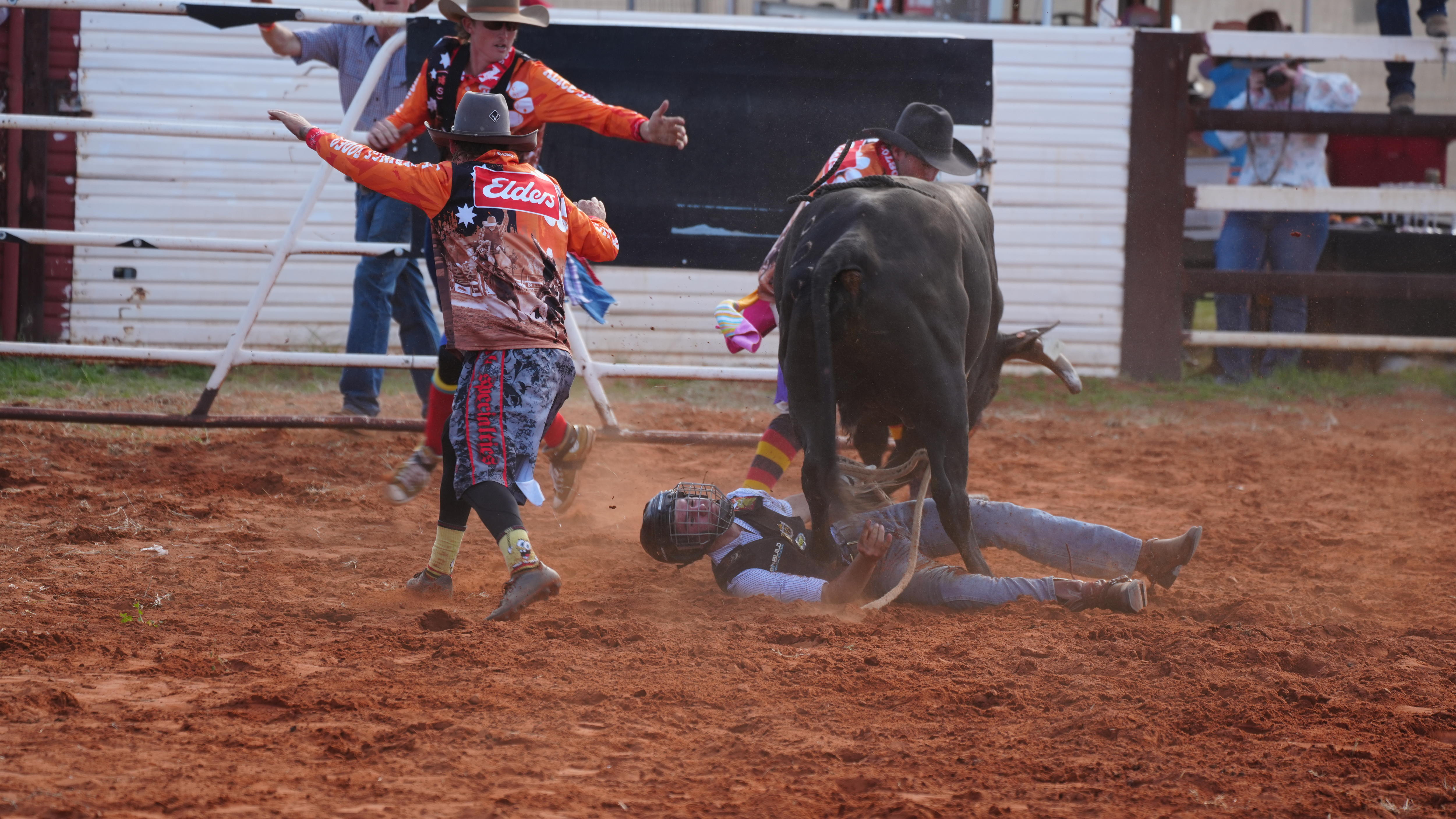 A man is on the ground while a bull thrashes above him