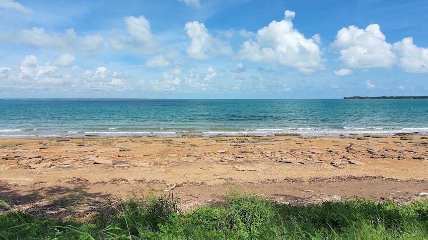 A beach scene.