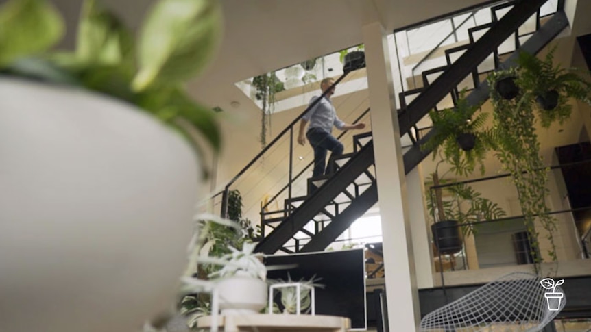 Man walking up a flight of stairs in apartment filled with plants