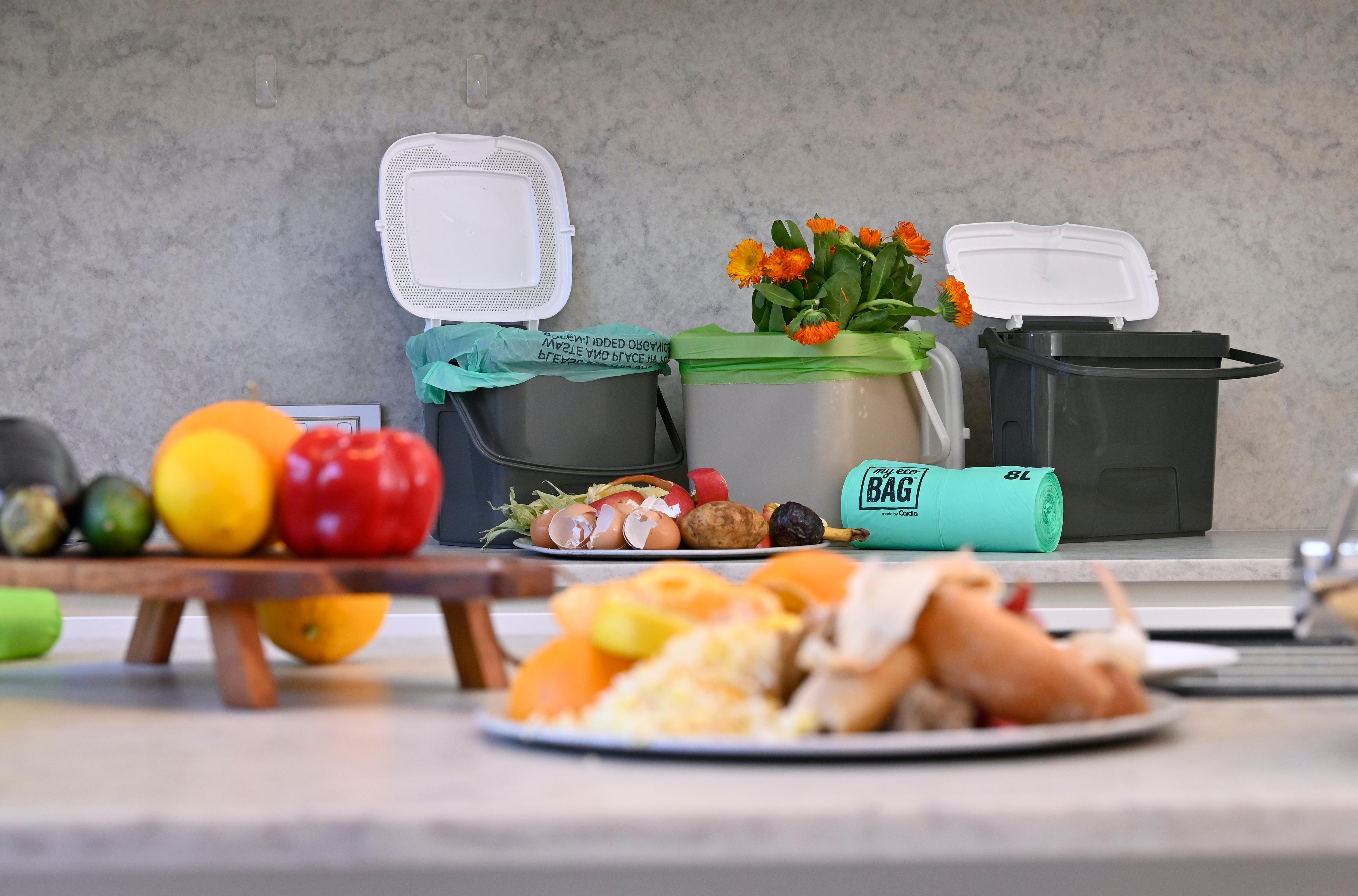 A table with fruits and vegetables with open caddy bins in the background