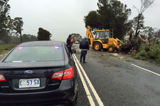 Emergency service workers clear a fallen tree on the East Tamar Highway June 5, 2016