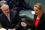 Scott Morrison looks on as Sussan Ley speaks in the House of Representatives