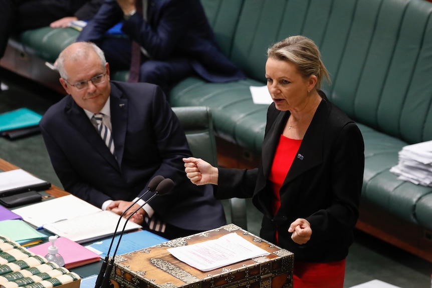 Scott Morrison looks on as Sussan Ley speaks in the House of Representatives