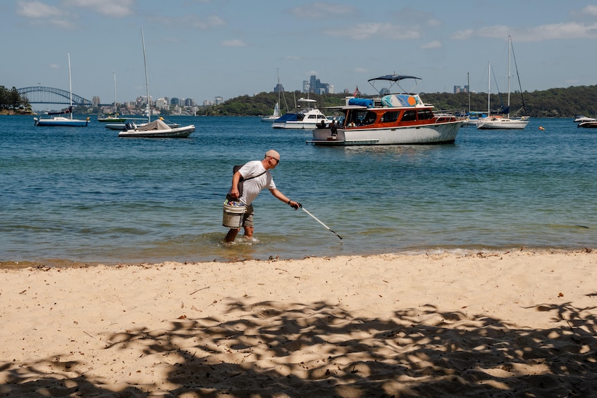 A wide shot of a beach with a man using a prong to reach for something in water