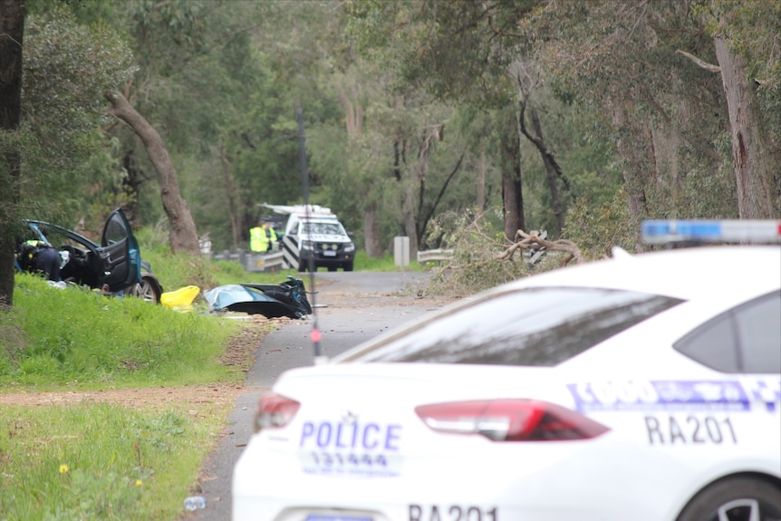 A crashed car on the side of a country road, with police vehicles in the foreground and background.