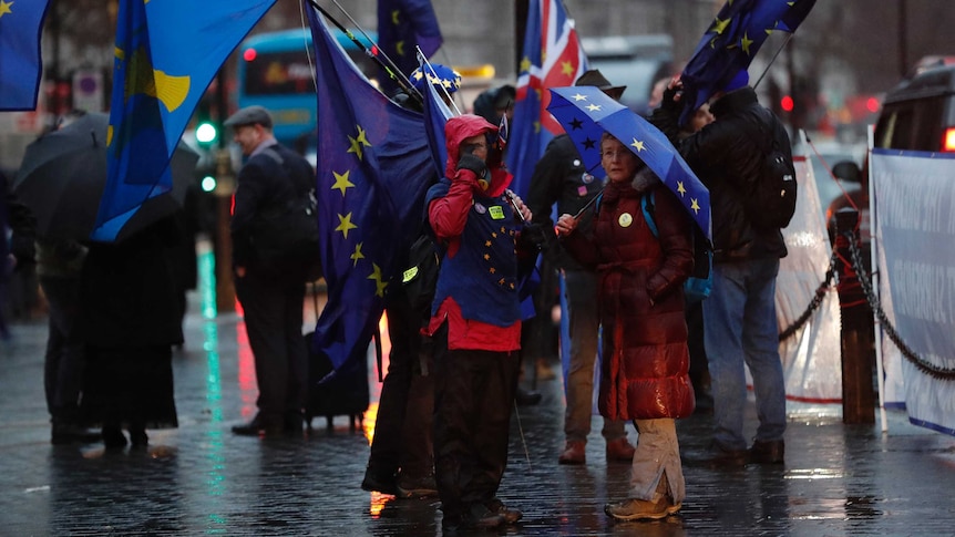 Pro-EU demonstrators gather in London.