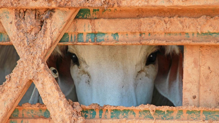 Graziers say the package will not be enough to help the thousands of them affected by the ban.