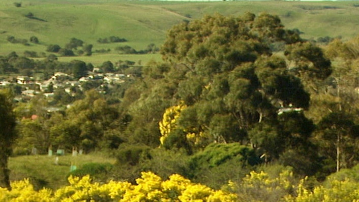 An outlook over trees and shrubs with green hills in the background.