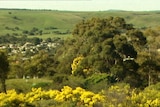 An outlook over trees and shrubs with green hills in the background.