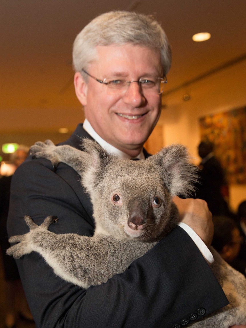 Canadian prime minister Stephen Harper holds a koala