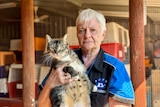 Sue Hedley holding grey cat with crates behind