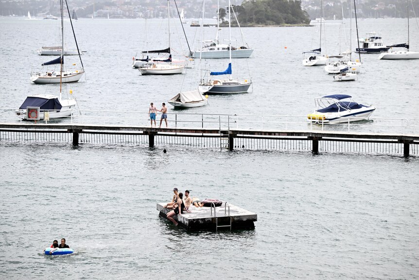 People are seen swimming at Murray Rose pool on Sydney Harbour, at Double Bay,