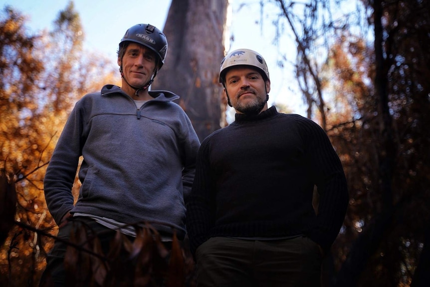 Brett Mifsud and Russell DuGuesclin chase giant trees