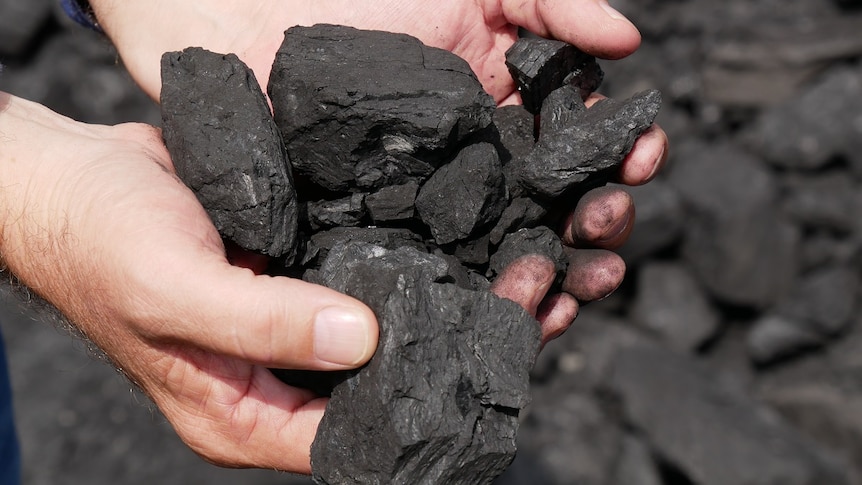 A close up of a a man holding pieces of coal