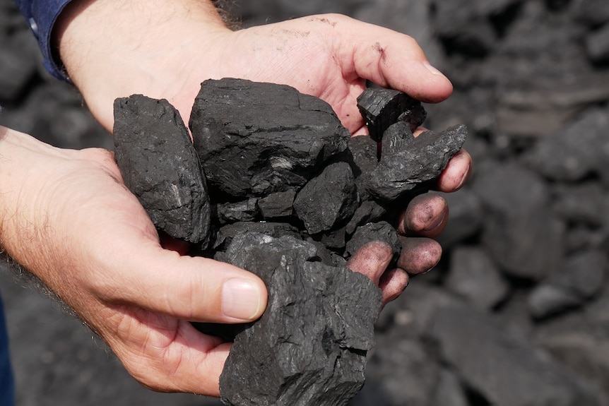 A close up of a a man holding pieces of coal