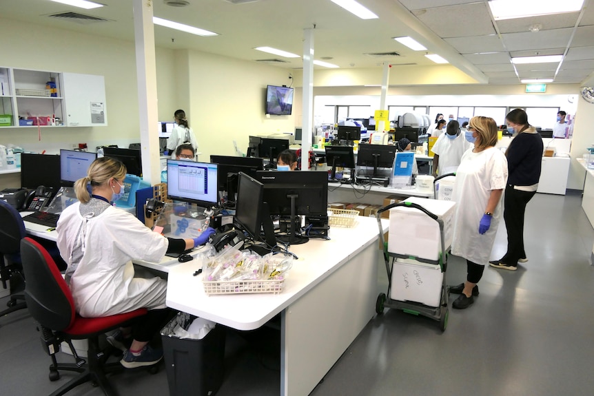People in medical gowns and face masks work with samples in an office.