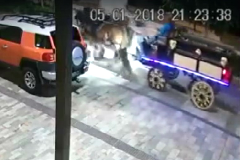 cctv footage with horses on a road and foam